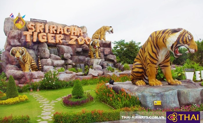  Công viên Sriracha Tiger Zoo