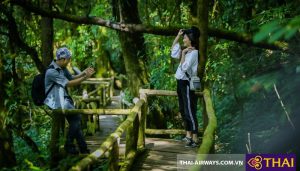 Check in sống ảo tại Thái Lan