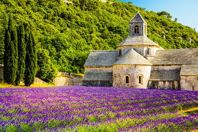 Mùa thu ở Provence nước Pháp